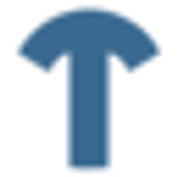 Logo Temesis
