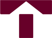 Logo Thiga Academy
